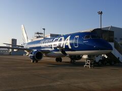 県営名古屋空港から、ネイビーの飛行機で出発。
青森空港までの所要時間は、1時間20分。