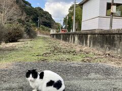 ■到着■ 13:57
ネコのいる駅。