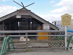 ここから、初日の旅に戻ります。

わんどを出たら、わさおの家へ。
きくや商店の横の広い犬小屋には、わさおの娘ちょめがおとなしく座っていました。