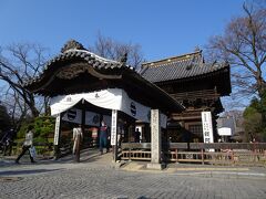 鑁阿寺。

こちらにも七五三のお参りに来た方がたくさんいました。
でもそれ以上に、中の方がずいぶんと騒がしい。
さっきからサクソフォンの音が聞こえてるし。