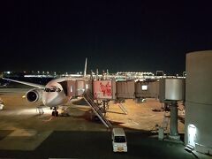 羽田空港に到着する頃にはすっかり真っ暗になっていました。
帰りはA350での帰京でした。