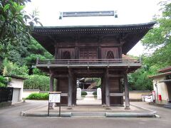 武蔵国分寺の後継寺院にあたる、現在の国分寺です。立派な楼門は東久留米の米津寺から移築したもの。