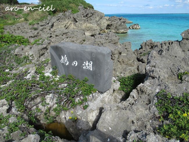 ヨロンでゴロン な秋旅 プリシアリゾートヨロン 21 与論島 鹿児島県 の旅行記 ブログ By Arc En Cielさん フォートラベル
