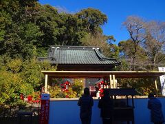 こちらは改修が終了した少彦名神社ですが、医薬・酒造の神、技芸上達・知恵の神と仰がれているそうです。

特に病気平癒などでお参りする方が多いようです。

ここで夫婦や子供家族などの健康を祈願します。