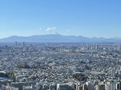 ＜恵比寿ガーデンプレイスタワーTOP OF YUBISUの38階＞


エレベーターを出るとこの景色(^^)
中央に富士山が見えています！

レストランを使用しなくても見られますよ♪