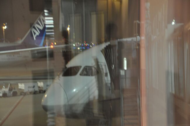 　羽田空港からソウル金浦空港への便は、現在運休中となっています。<br />　予定では、羽田空港15:55発ANA865便に乗ります。<br />　使用機材はB787-8です。<br />　なお、この時期、日本から韓国へは成田・中部・関西・福岡からのアシアナ航空または大韓航空便があるようです。<br />　また、成田空港からは週3便ですが、ジップエア便も飛んでいるようです。