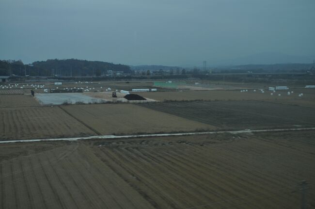 　早く韓国へ自由に行けるといいなあ。