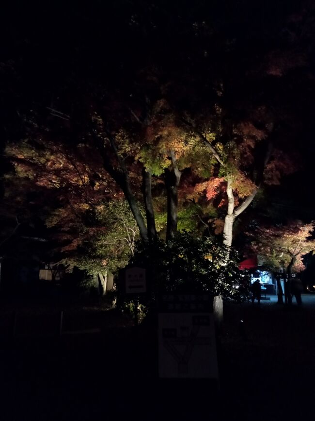 関西２０２１秋旅行記 ６ 玄宮園１ 玄宮園ライトアップ 彦根 滋賀県 の旅行記 ブログ By アイガーさん フォートラベル
