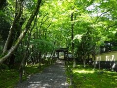 雨も上がり、閑さが強調される木漏れ日の美しさ
