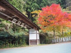 ＜祖谷渓温泉　ホテル秘境の湯＞
