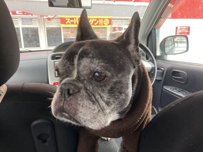 2021年1月5日<br />函館市内、妻と義理母、買い物中<br />私と２人きりになったので不安な顔してます