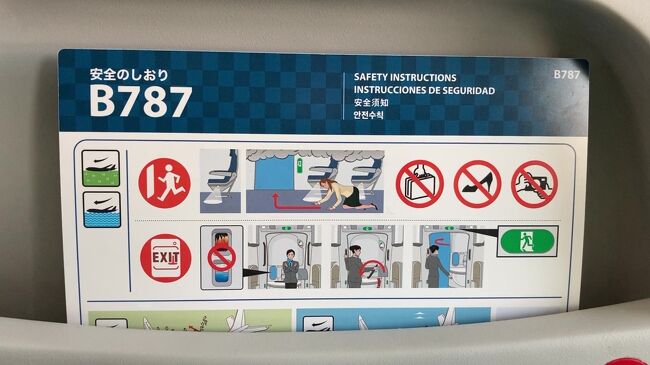2021年1月4日<br />羽田空港10:00-函館空港11:20