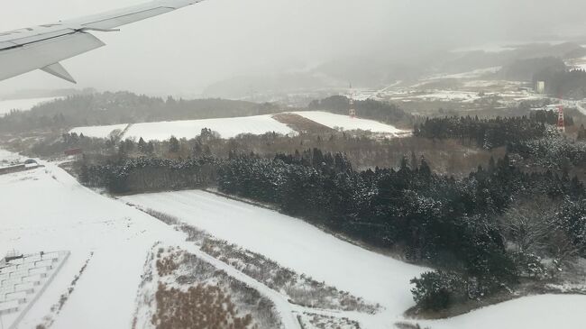 かなり揺れながらの着陸かな？と思いきや<br />上手な着陸でした。<br />ツンドラ地帯風の景色