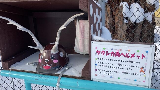 これでバイクに乗りたい。