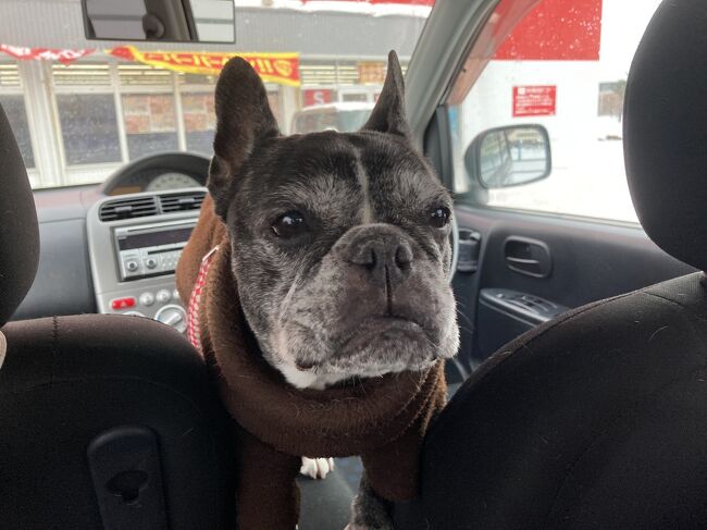 妻と義理母戻ってきたら、安心の顔