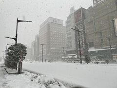 4日目になって初の大雪。朝起きたら既に雪が積もっており、結構な量が降り続けていました。大雪の中の初詣は初体験なので、しっかり防寒して北海道神宮に向かいます。