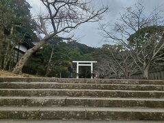 チェックアウト後は来たかった安房神社へ。
写真には写ってませんがこの時みぞれが降ってました(寒)