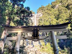 【飛瀧神社】

「那智御瀧」そのものを、大己貴神（おおなむちのかみ、大国主大神）が現れた御神体として祀っているので、本殿や拝殿はないんですねφ(..)

大国主大神といえば、出雲大社の主祭神ですね(^^)