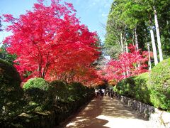 壇上伽藍に続く蛇腹道です。紅葉の季節、ここは人気のスポットとなり、観光客で賑わいを見せていました。高野山の町並みが蛇のように長細く広がっていて、このあたりが蛇の腹部にあたることから、蛇腹道と名付けられたといわれています。