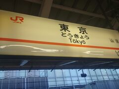 到着予定時刻から約１５分程遅れて東京駅に着きました。