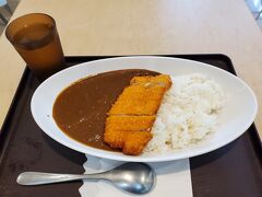 フードコートでお昼ご飯に、鮪カツカレー(1,000円)を頂きます。あんまり期待していなかったので、思ったより美味しかったです。

手荷物検査をして、JTAの那覇行きの搭乗案内を待っている時に、ピーチから欠航案内のメールが来ました。マジでー！！！

焦ってJALの搭乗口に行き、事情を説明して那覇から羽田を経由して千歳に帰る便をその場で購入しました。しかし羽田から新千歳へは悪天候なら引き戻すという条件付きです。

ピーチの払戻しの手続きをして、ドキドキで羽田空港を出発したけど、天候が崩れることなく無事に帰って来れました。

旅行が楽しかった事と無事に帰って来れた事、出会った皆さんに感謝します。