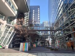 再び、東京国際フォーラムを見に行きました。