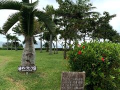 のばれ岬観光農園
おーりとーり♪「ようこそ、いらっしゃいませ～」ですね。