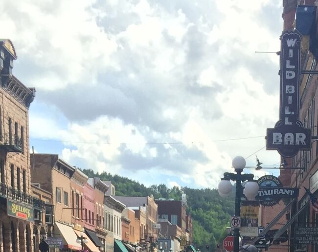 電柱も地中化され、景観も整っています。