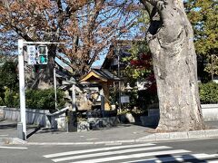 松本神社前井戸を通り過ぎて。