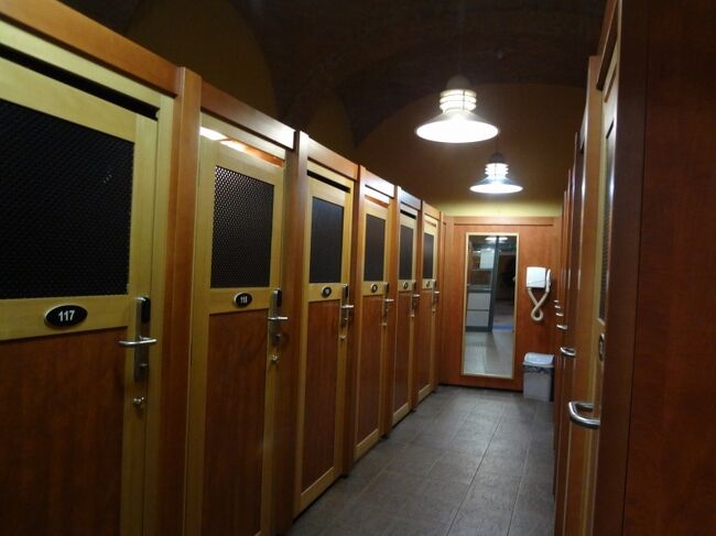 ロッカーで着替えて浴場へ。ルダシュ温泉はオスマントルコ統治下の１５６６年に建てられた由緒あるトルコ式浴場です。<br />本当は一昨日行きたかったのですが、月曜と水～金曜は男性のみとなっており、ゲイが多いという話なのでやめました。<br /><br />浴場内は撮影禁止。大きなドームの下に大浴場があります。温度は３０度ぐらいでぬるいです。大浴場の周りにはいくつかの小さな風呂があり、こちらは水温が３０度、３６度、４２度となっていました。日本人なら４２度のお湯がちょうどいいのですが、ヨーロッパ人には熱すぎるようでだれも入っていません。<br />ドームの明かり取りの小さな窓には色とりどりのガラスがはめられ、光が乱反射してとても幻想的でした。