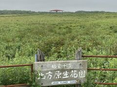 そして、バスの次の目的地は北方原生花園。