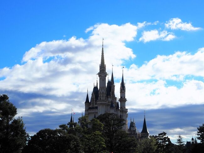 極寒 イベントなし 抽選全滅 ﾟdﾟ もう食べるしかないっww 東京ディズニーランド 東京ディズニーリゾート 千葉県 の旅行記 ブログ By まーやんさん フォートラベル