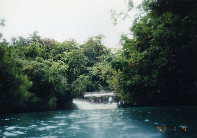 こちらはマリンレイクで停泊するダイビングボート。