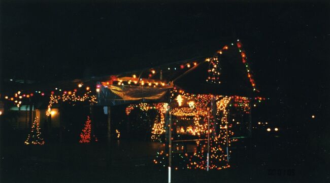 他にもいろいろな電飾が施されています。