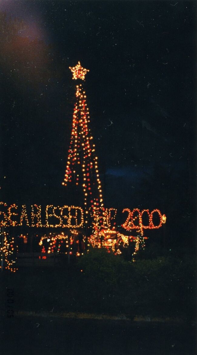 南の島のクリスマス＆ニューイヤー電飾。