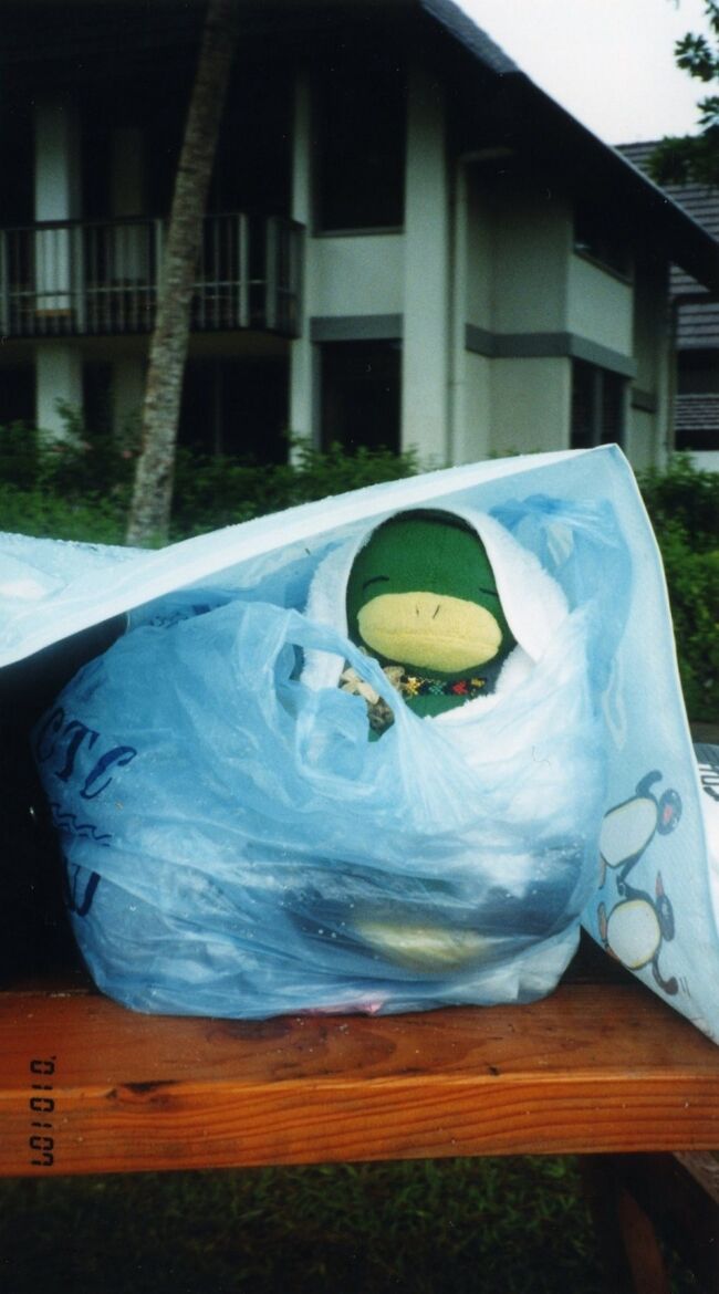 突然の雨にはレジャーシートを掛けます。