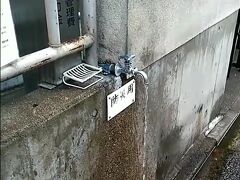 荷物を置いて身軽になって
１つ用事を済ませます。

部屋の近くに名水が汲める場所があると知っていたので
その場所の様子を確認したかったのです。


壁からにょきっと蛇口が出ていて
下にバケツが置いてあるだけですが
こちらは京都の隠れた名水。
「銅駝会館」の水くみ場です。

一保堂さんの本店の北側の通りを
東へまっすぐ、河原町通りを超えて
リッツ・カールトンのちょっと手前にあります。

24時間いつでも組むことが出来るので
元旦の若水を、ここで汲もうと思っています。

管理費を集める箱があるので
皆さんこちらに御礼のお金を収めていかれます。

（動画で撮影したものを切り取ったので、変なキャプションついててすみません）