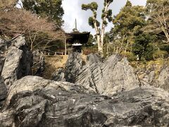 石山寺　硅灰石

さすが天然記念物