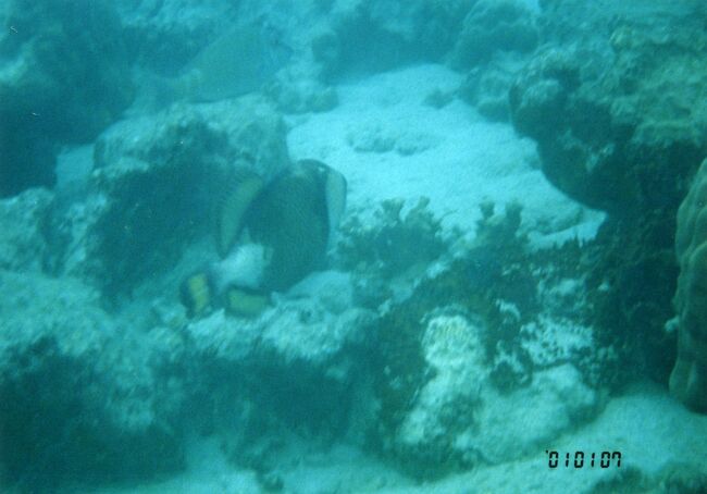 うっかり噛まれたりすると大変です。