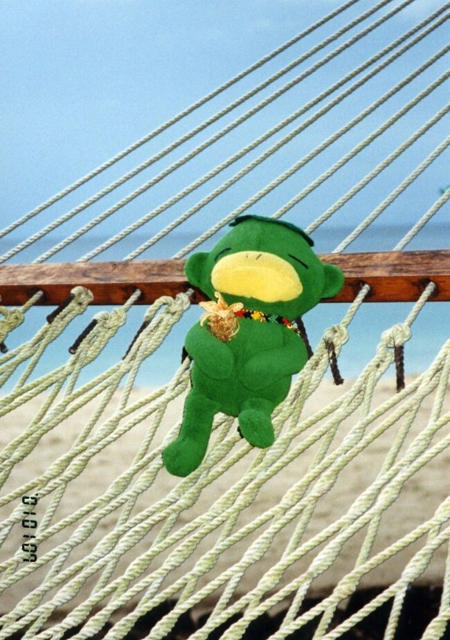 「まうちゃん」もハンモックで大満足。