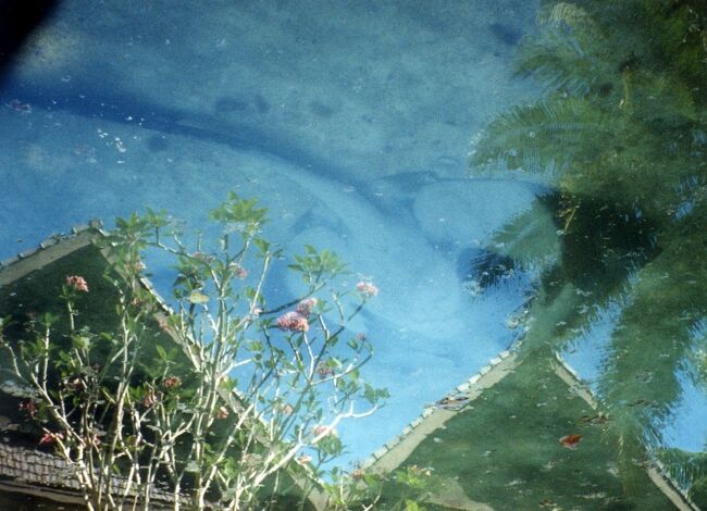 水面に客室が写り込んでいます。