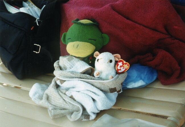 PPRのビーチチェアーの「まうちゃん」。