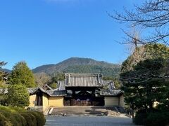 醍醐寺を見たあとに向かったのは、随心院門跡でした。
歩いて10数分の距離にあるので、お散歩気分で歩くのにちょうどいいです。