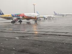 雪の羽田に着陸。
