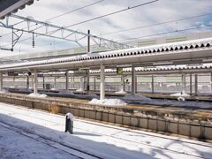 東京駅から新幹線つばさで山形駅に到着
雪景色が新鮮すぎる
早速、山交バスに乗って蔵王へ向かう