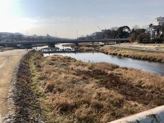 鴨川公園は、鴨川デルタとも呼ばれ、加茂大橋のそば、高野川と賀茂川が合流するデルタ地帯にある公園だそうです。