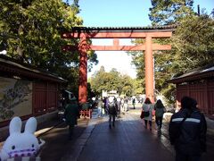 ということで、お参りを先に済ませたいので、氷川神社へ入ります。