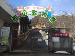 西山公園にある西山動物園を訪問しました。西山動物園とは西山公園の西方の山に位置する動物園であります。西山動物園の営業時間は9:00～16:30、休業は毎週月曜日(月曜日が祝祭日の場合はその翌日)、年末年始となっています。（動物園水族館特集参照）日中友好のシンボルとして北京市から贈られたレッサーパンダをはじめとして、タンチョウヅル、リスザルなどが飼育されています。（全国観るナビ参照）