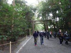 鳥居をくぐり伊勢神宮外宮に参りましょう、森の木々の中の参道を歩く、神聖な気持ちになります