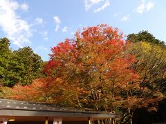 本日は箱根神社からです。